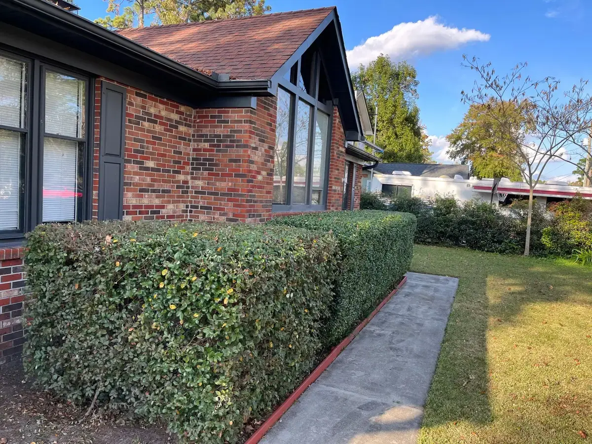 Trimmed hedge running the length of a brick home's driveway