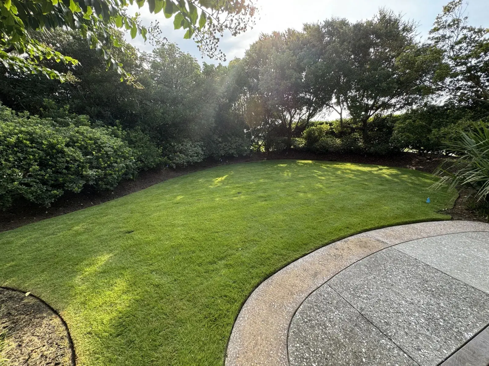 Sunlit lawn curving to a circular concrete drive